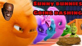 [YTP] (Sunny Bunnies Going Dashing) Dank Meme