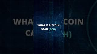 What is Bitcoin Cash (BCH) | YouTradeBiz