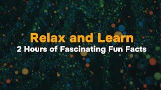 Relax and Learn: 2 Hours of Fascinating Fun Facts | 4K Ultra HD