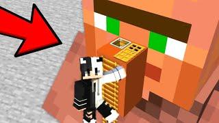 I Bulid a Mordern House Inside a Villager in Minecraft!