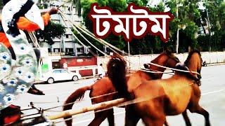 ঢাকার ঐতিহ্য টমটম গাড়ি | Tomtom in Dhaka | life 2711