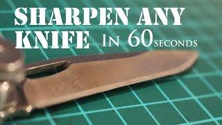 The Laziest Way to Sharpen Any Knife to Razor Sharp 2