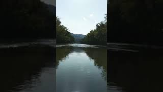 HUGE CATFISH! Cumberland River Catch!