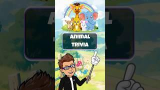  Animal Trivia  For Kids | #brainbreak #trivia #education #learning #classroom