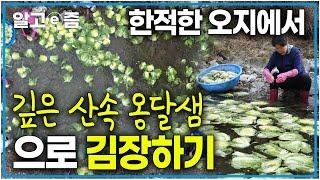 직접 농사지은 배추를 작은 옹달샘에서 씻고 절이는 산골 오지에 사는 부부. 해발 700m에서 하는 월동준비｜한국기행｜알고e즘