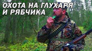 Охота на глухаря и рябчика с лайкой