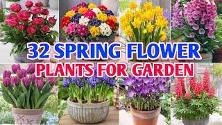 32 Best Spring Flower Plants for Garden | Best Spring Season Flower Plants | Plant and Planting