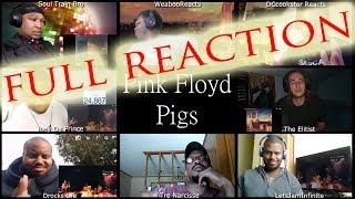 FULL MULTI REACTION Pink Floyd Pigs / MULTI REACT-A-THON