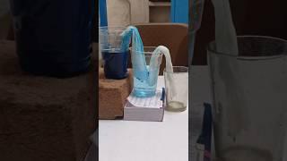 Water filter system || #shorts #water #filter #shortsfeed #science #shortvideo #experiment #system