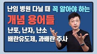 난임 병원 다닐 때 꼭 알아야 할 개념 용어들, 난포, 난자, 배란유도제, 과배란주사 등