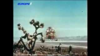 Greenpeace International Video