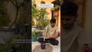 Plant ki Chori #youtube #gardening #trending #plants