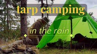 Tarp camping IN THE RAIN! MRE, campfire cooking wildlife