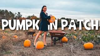 Pumpkin Patch & Prepping To Decorate For Halloween