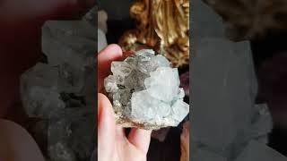 СНЫ ДРУГИЕ. КАКИЕ СНЫ БЫВАЮТ ПРИ ПОРЧЕ. СИМПТОМЫ
