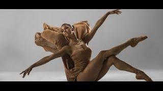 A Ballerinas Tale (2015) With Deirdre Kelly, Susan Fales Hill , Misty Copeland Movie