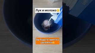 Лук и молоко Вы будете приятно удевлены #германия #germany #лайфхаки