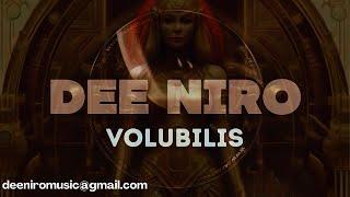 AFRO HOUSE & MELODIC HOUSE - DEE NIRO VOLUBILIS - HUGEL, TOPIC, BOB SINCLAIR, RELIGHT ORCHESTRA