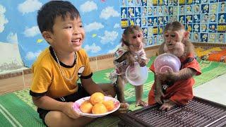 Two smart monkeys holding a plate to ask for their brother's cake