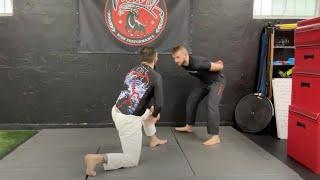 Live training: no-gi wrestling, white belt pinning (ecological approach)