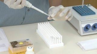 DNA Isolation Step 4: Cleaning & Eluting the DNA