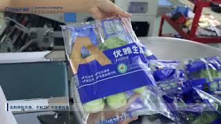 vegetable packing machine