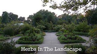 Tips For Growing Herbs In the Landscape