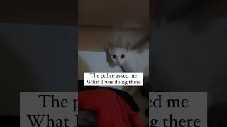 Ira got arrested! #catshorts #cutecatshorts #cutecatvideosfunny #catlover #catcutevideo #kittens