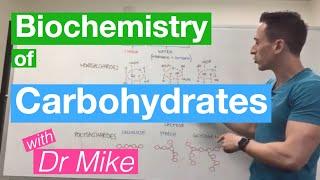 Carbohydrates | Biochemistry