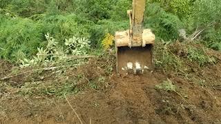 Escavadeira hidráulica CAT 312D operador GALEGO CAPIXABA limpeza de capoeira