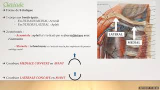 COURS TERMINALE SANTE MEMBRE THORACIQUE 21.03.2021 BY TRISTAN