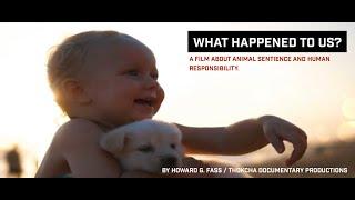 What happened to us?