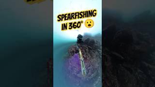 Spearfishing With My Insta360 X4! #insta360 #insta360x4 #spearfishing