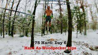 75 Hard: Day 6 Hard as Woodpecker Lips