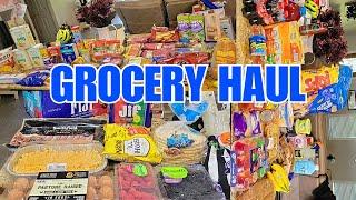 NEW MASSIVE Grocery Haul | Aldi, Sam's Club, & Walmart