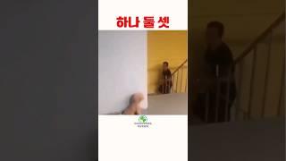 하나 둘 셋 #하나 #둘 #셋 #one