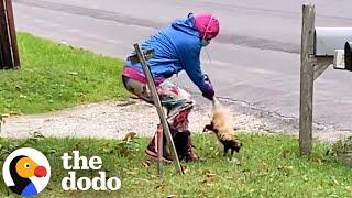 Dad Has Best Reaction To Daughter Rescuing Skunk | The Dodo