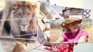 How to help animals heal by trusting yourself