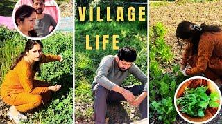 Indian Pahari Village Lifestyle || Kitchen Garden & Green Organic Vegetables | Paharo Ke Sundar Gaon