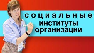 Социальные институты и социальные организации