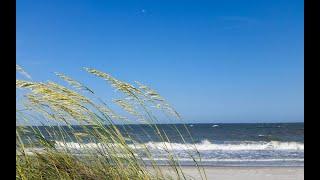 Beachwalk to Shipyard Beach Access, Elise Witman, RE/MAX Island Realty, 843-247-6772 - Hilton Head