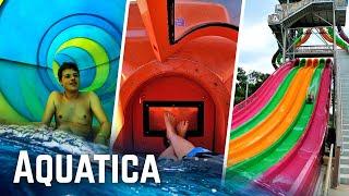 Aquatica - All Water Slides at BOTH Parks (San Antonio & Orlando)