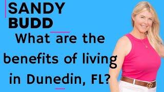 Living In Dunedin Is A Game-changer: Uncover The Incredible Benefits!