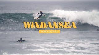 Surfing Windansea Beach In September | La Jolla, CA