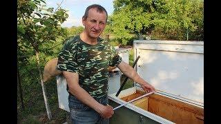 Ukrainian hive | Overview of the hive lounger on a narrow-high frame