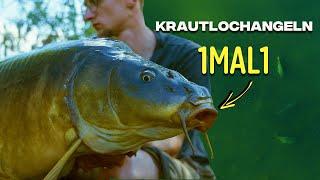 Erfolgreich im Krautloch!  - Anaconda TV Karpfenangeln mit Julien Goldner