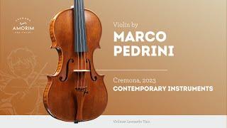 Violin by Marco Pedrini, Cremona, 2023