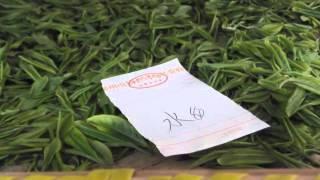 Anji Baicha Green Tea