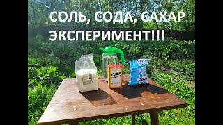 Соль, сода, сахар эксперимент!!!