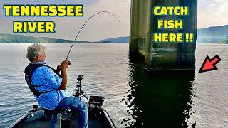 FISHING the TENNESSEE RIVER catching FISH using LIVE MINNOWS as BAIT !!